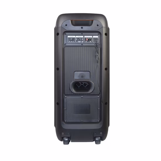 Temeisheng Neuer 80W großer drahtloser Bluetooth-tragbarer Trolley-HiFi-Party-Box-Lautsprecher